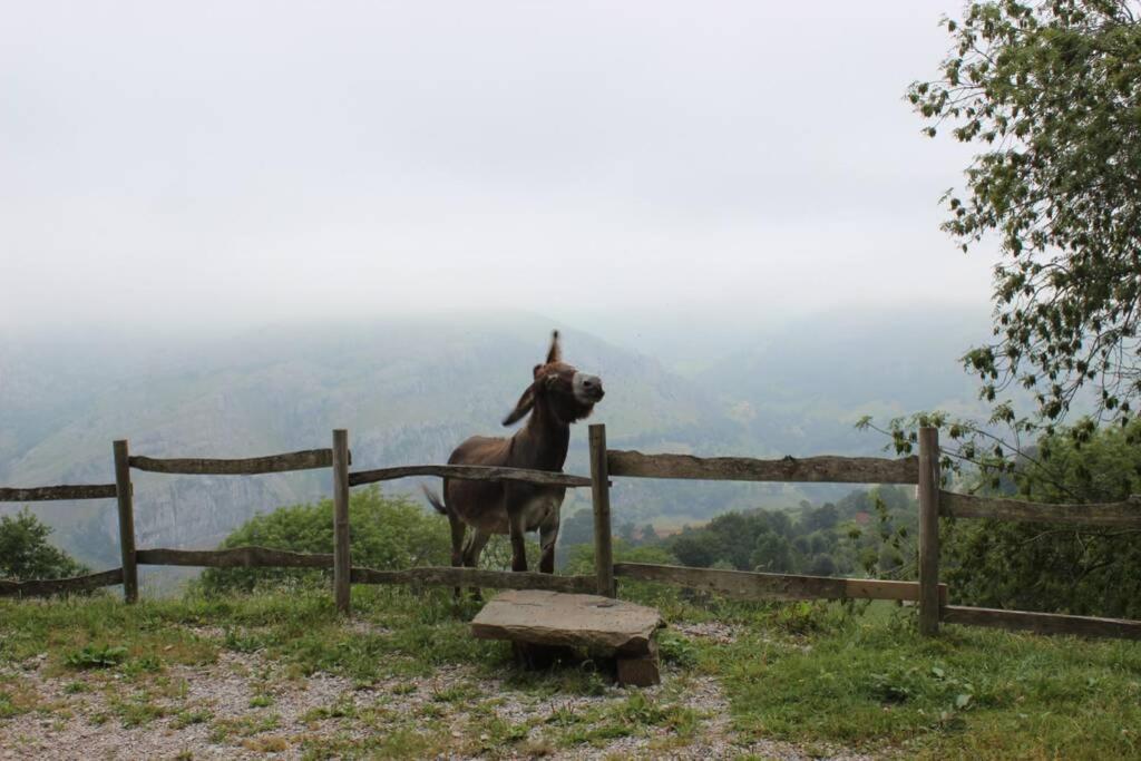 Los Pradones San Roque de Ríomiera 外观 照片