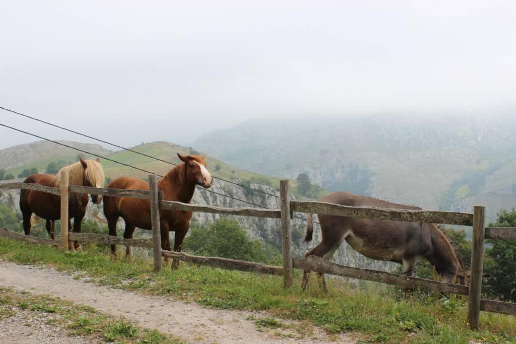 Los Pradones San Roque de Ríomiera 外观 照片